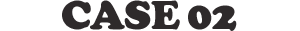 CASE 02